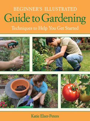 cover image of Beginner's Illustrated Guide to Gardening